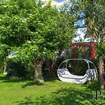 Pitomcia (adults Only) Podstrana
