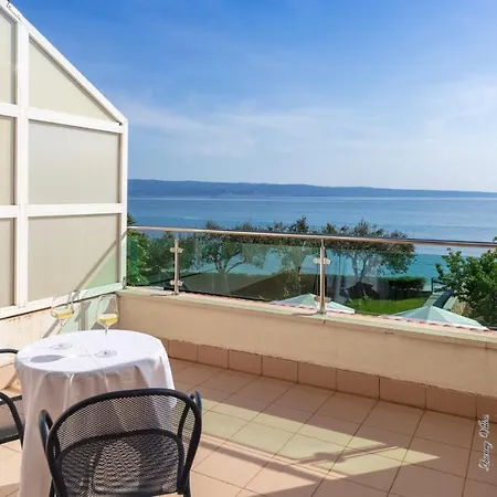 Pitomcia (adults Only)