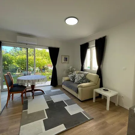 Pitomcia (adults Only)