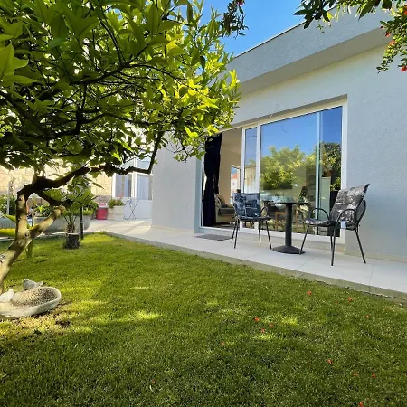 Pitomcia (adults Only) פודסטראנה