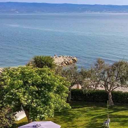 Pitomcia (adults Only) 3*