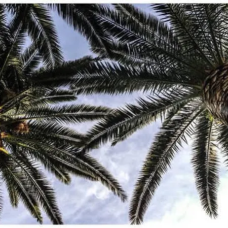 Pitomcia (adults Only) פודסטראנה