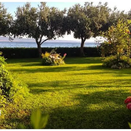 Pitomcia (adults Only) Podstrana