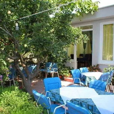 Pitomcia (adults Only)