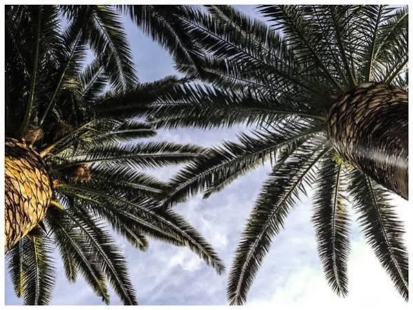 بيتومسيا بودْسْتغانا